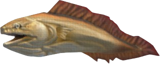 Lesser Eel