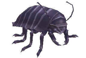 Creepy Street Louse