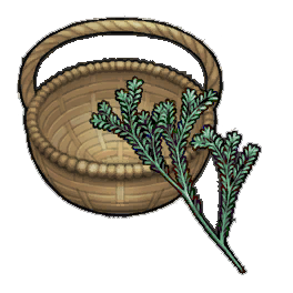 Empress Rosemary