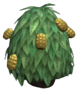 Ridged Haleberries