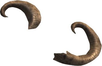 Mottled Rams Horn