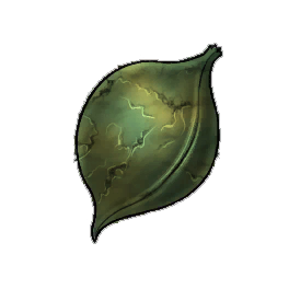 Marbled Chameleon Plant Seed