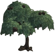 Sweet Chestnuts