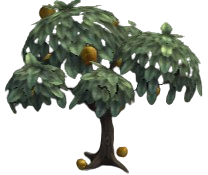 Spinney Apple
