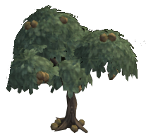 Dewkin Chestnuts