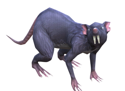 Scrap Rat