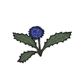 Bluefuzz Dandelion