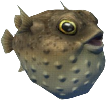 Sandy Pufferfish