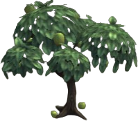 Deepforest Apple