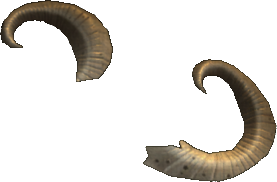 Pitted Rams Horn