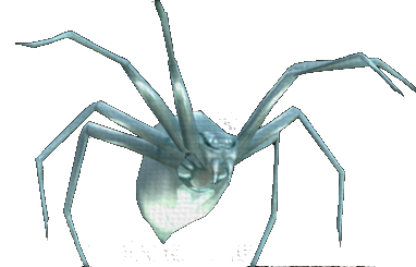 Baby Titan Spider
