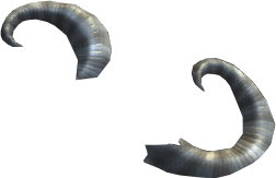 Immaculate Rams Horn