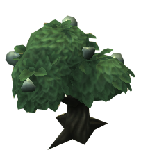 White Tangfruit