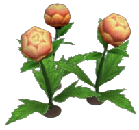 Mantua Globeplant