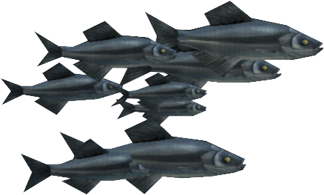Gray Herring