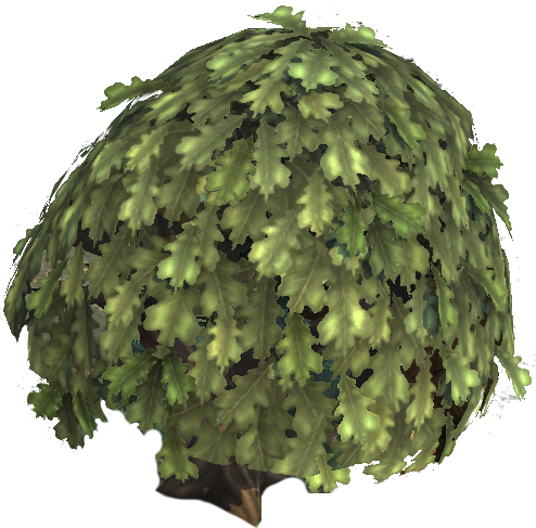 Oak Tree (excellent)