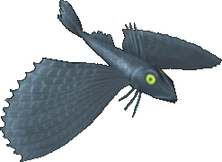Gray Gurnard