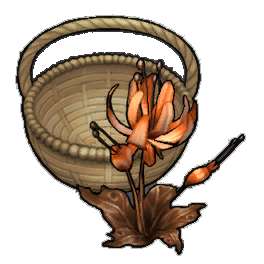 Sunset Duskbloom (activity)