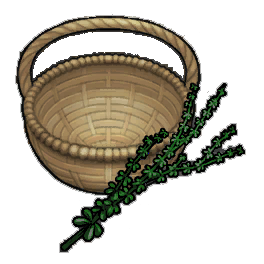Arbowt Thyme (activity)