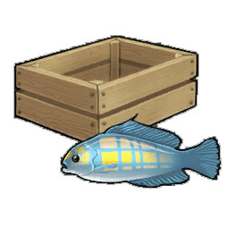 Corkwing Wraddock