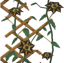 Midnight Wallplant