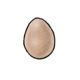 Fine Eggs