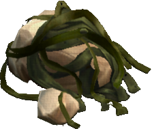 Kombu Kelp