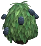Blue Haleberries