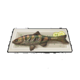 Tiger Poached Trout