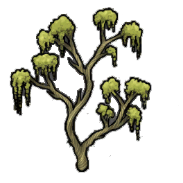 Knot Creeper