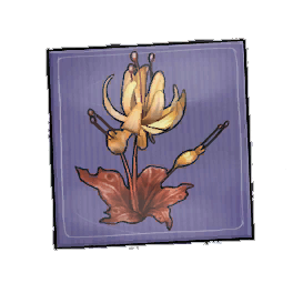 Dragon's Fire Duskbloom Seed Packet