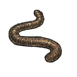 Squiggly Wriggler