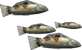 Mega Wraddock