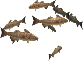 Mosaic Cod