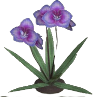 Tiered Orchid