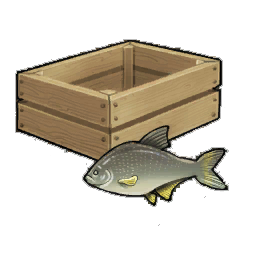 Broad Bream