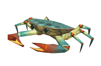 Small Crab