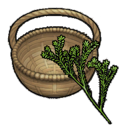 Stalky Rosemary (activity)