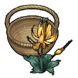 Summer Duskbloom (activity)