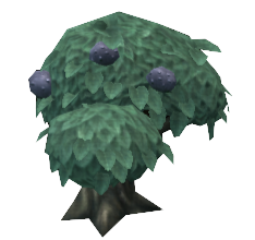 Shriveled Bitterfruit