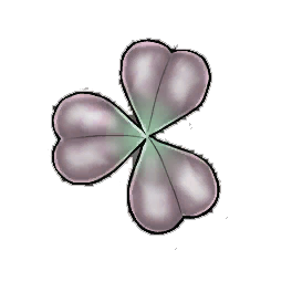 Pearl Clover