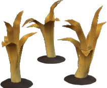 Golden Leek