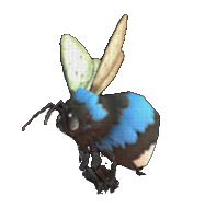 Shelbee