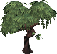 Mahogany Tree (moderate)