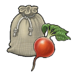 Jamato Beetroot (activity)