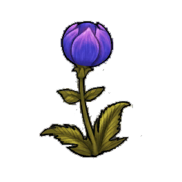 Meridian Globeplant