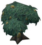 Bistre Bitterfruit