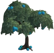 Marquis Chestnuts