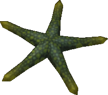 Granulated Starfish
