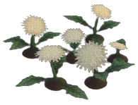 Speckleburst Dandelion